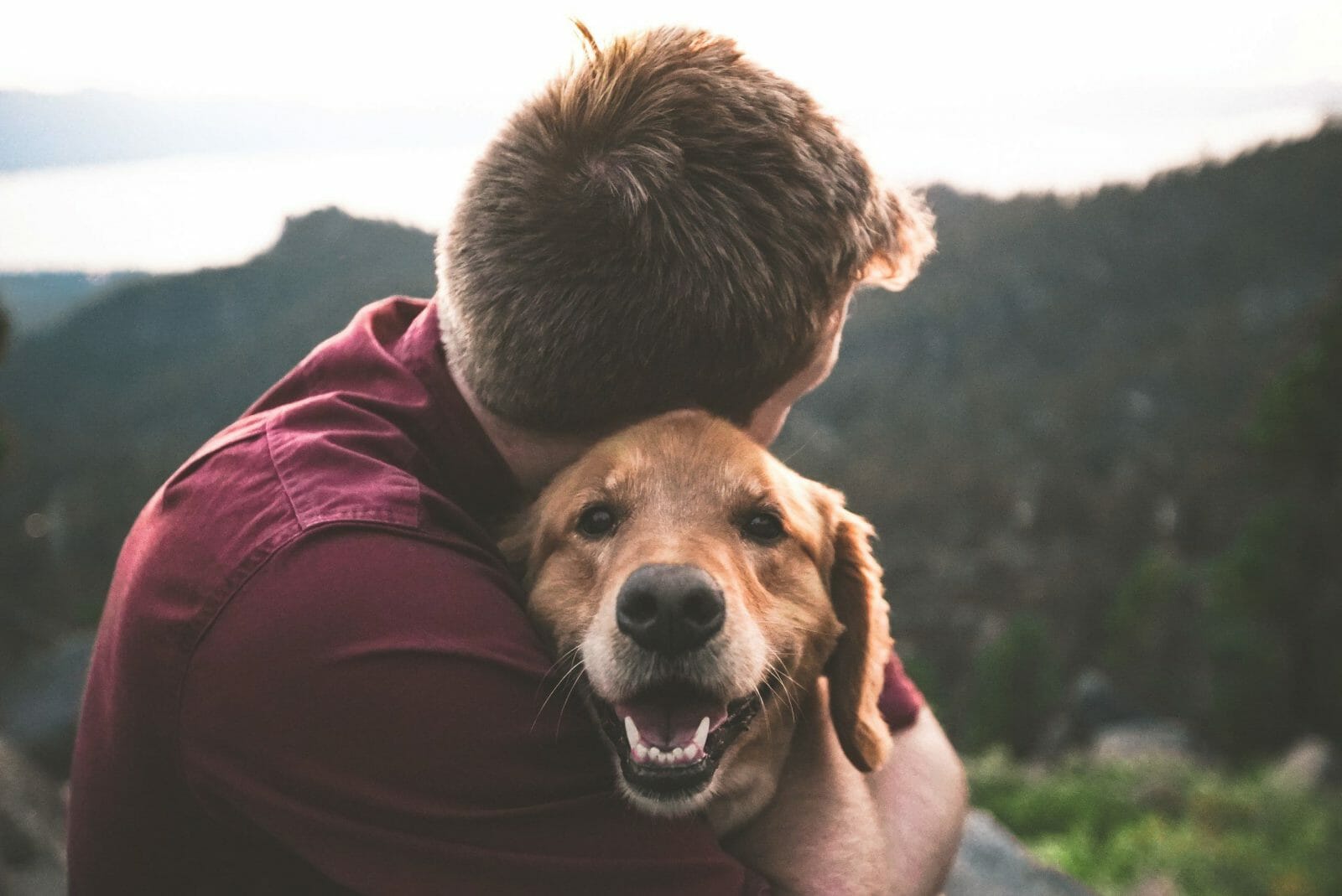 how to start a pet blog